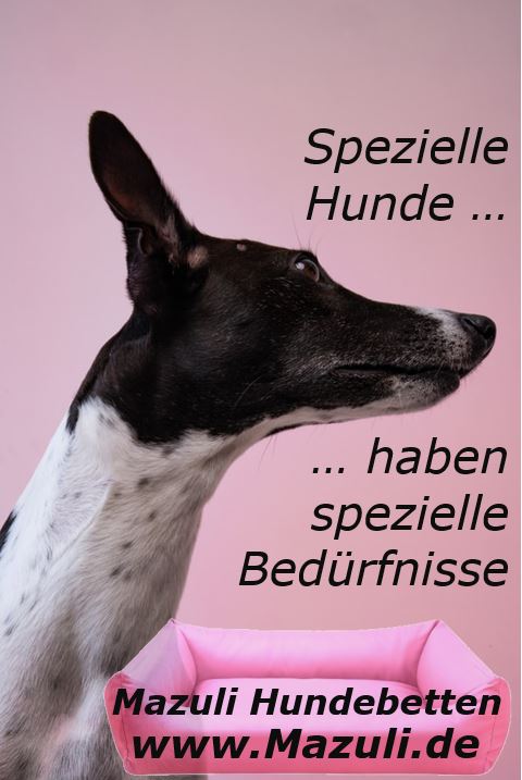 Mazuli Hundebetten für spezielle Hunde